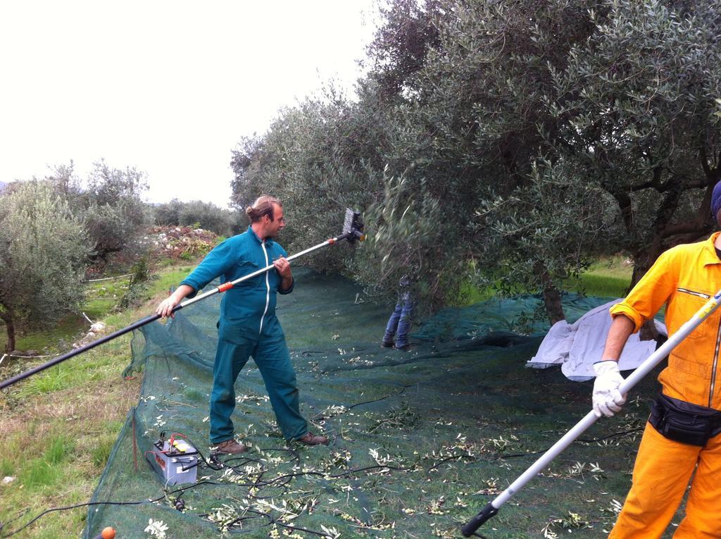 Agriturismo Casa Rosa Verona Bagian luar foto